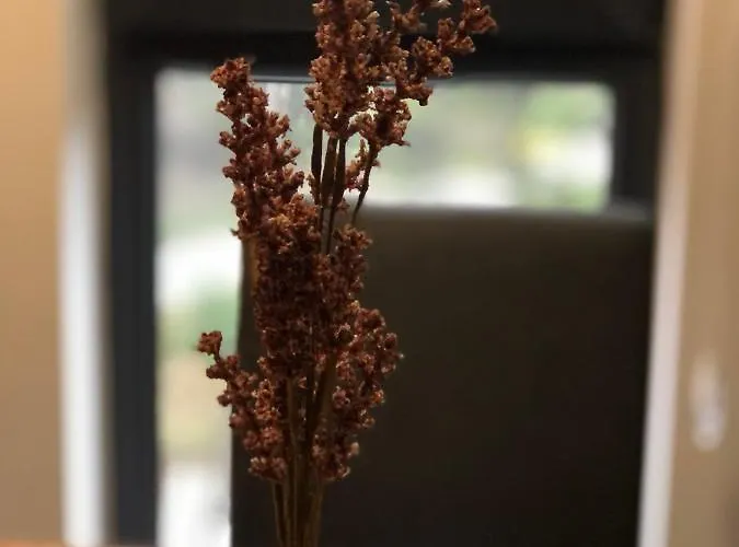 Masha Дивчибаре