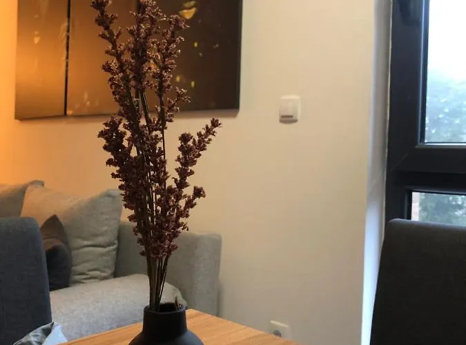 Апартаменты Masha *