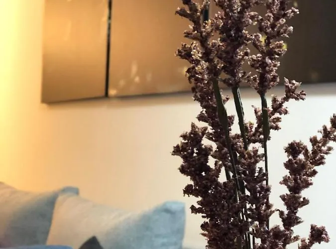 Masha Дивчибаре