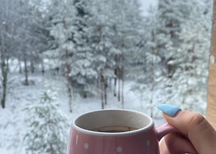 Masha Апартаменты