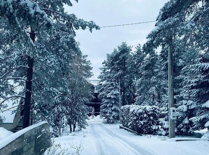 Апартаменты Masha *